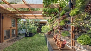 Clever design plants off-grid sustainability in the big city