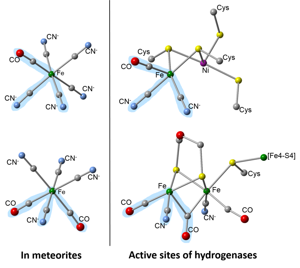 Diagram comparing meteorite compounds to microbe enzymes