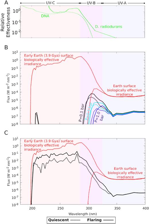 Relative biological effectiveness of UV surface radiation on Proxima-b. (A) The biological effectiveness of UV on DNA and the radiation-resistant microorganism D. radiodurans (Voet et al. 1963; Diffey 1991) quantifies the relative effectiveness of different wavelengths of UV radiation to cause DNA destruction or, for D. radiodurans, mortality, which increases with decreasing wavelength. Biological effectiveness of UV damage for (B) oxygenic atmospheres and (C) anoxic atmosphere models shown as convolution of the surface UV flux and action spectrum over wavelength (solid line shows flaring, dashed line quiescent star), compared to present-day Earth (red solid) and early Earth (3.9 billion years ago) (red dashed).