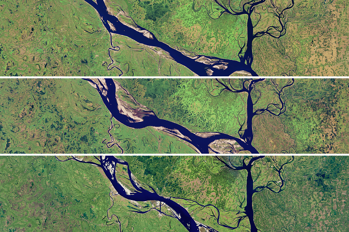 Meandering Bends of the Lower Padma River