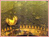 Surface of Venus